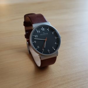 Skagen leather watch